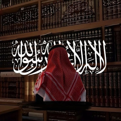 محمد السيد البرنس