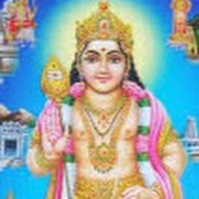 seeman technical engineer