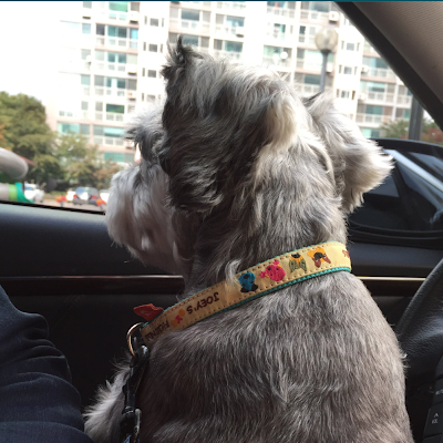 한호주