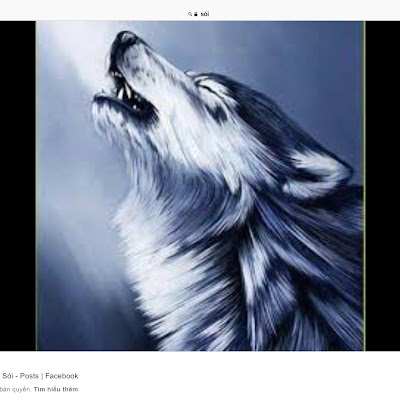 Wolf_ Bi