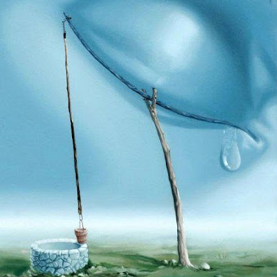 tarek sallam