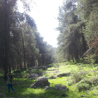 Yaron Ronnie Eshel