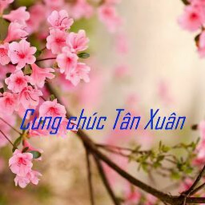 Long NgoXuan
