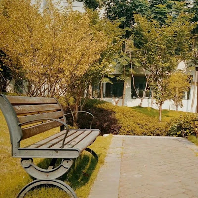 Mindao Yan