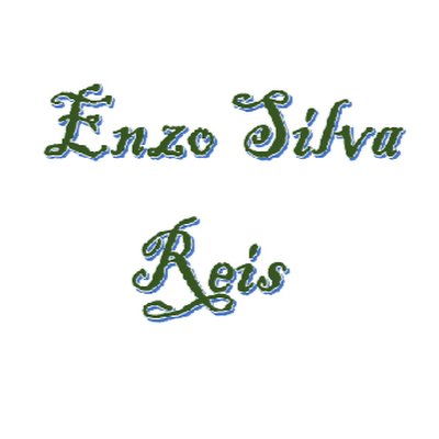 Enzo Silva Reis