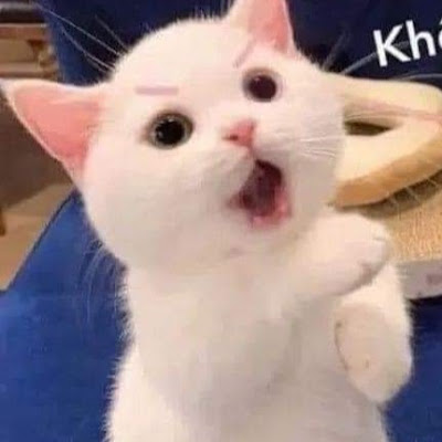 Kiệt