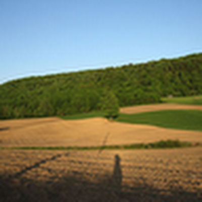 orenshr